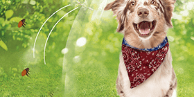 Bandana Repelente: Proteção contra os insetos