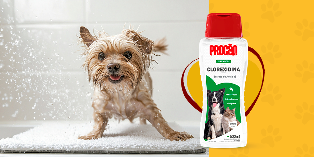 Shampoo Clorexidina Procão: saúde e cuidado em cada banho
