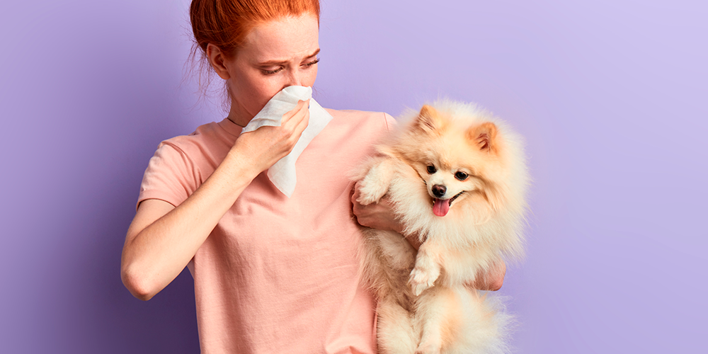 Cachorro com mau cheiro: o que pode ser?