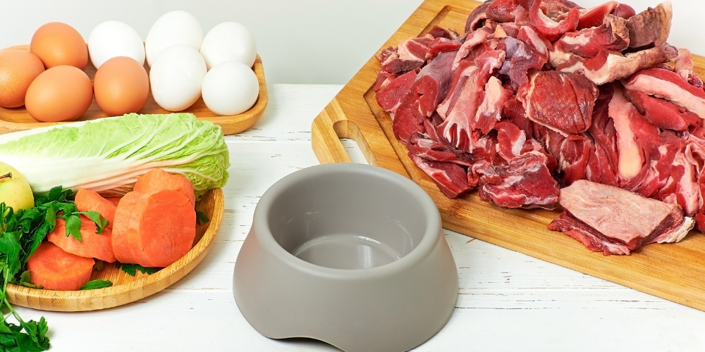 Dieta BARF: conheça as vantagens e desvantagens