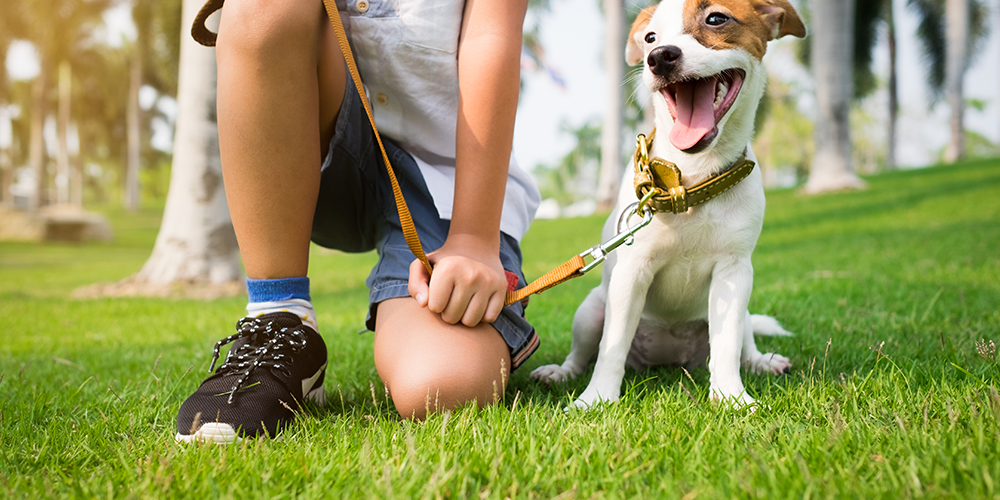 Dono não, Tutor! Por que não se usa mais a palavra dono para o Pet?