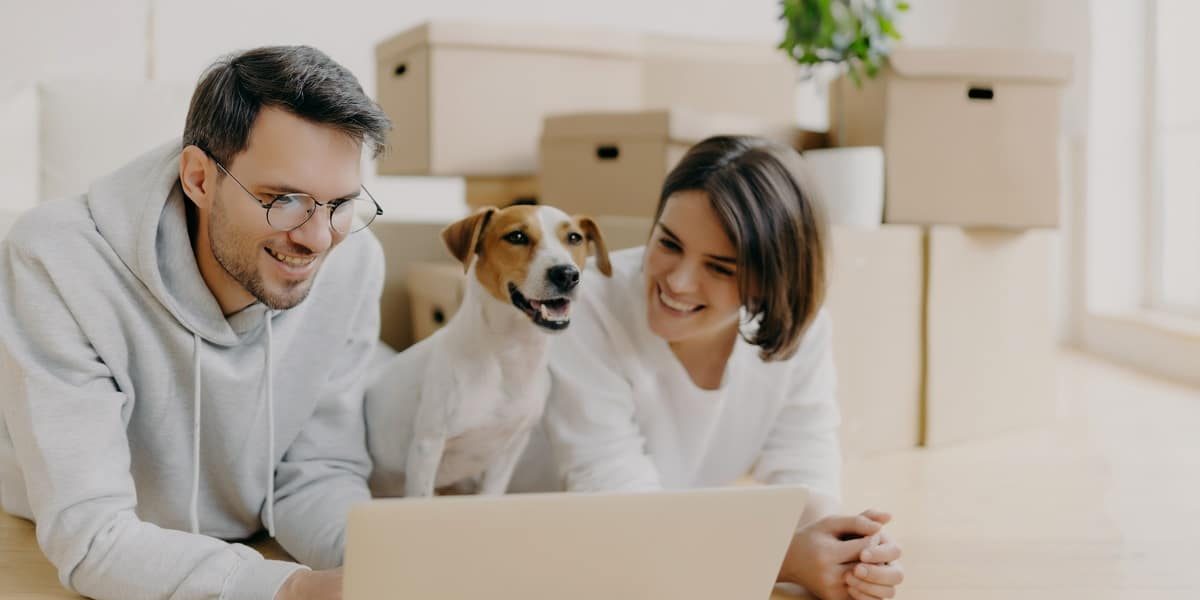 Filmes para Maratonar na Companhia do seu Pet