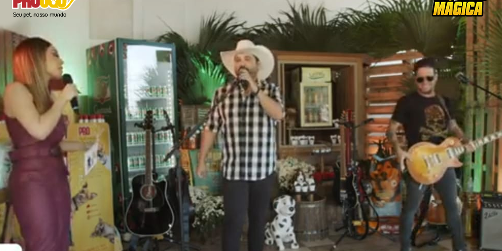 LIVE AMOR + PET: SUCESSO DE AUDIÊNCIA E SOLIDARIEDADE