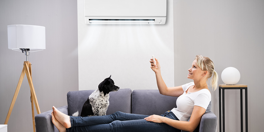 O ar-condicionado faz mal para o cachorro?