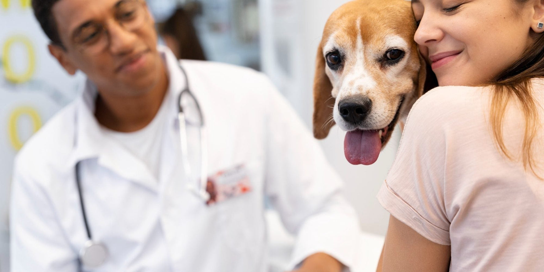 Saúde Preventiva: Vacinas, Vermífugos, Antipulgas e Carrapatos!