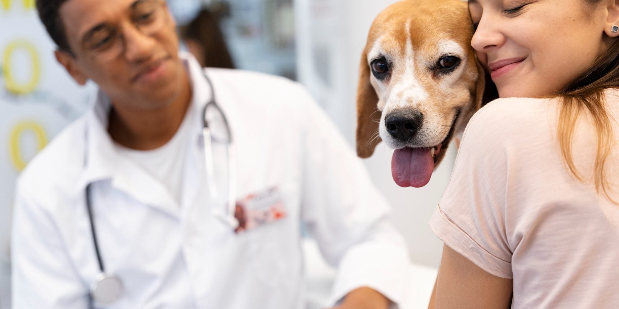 Saúde Preventiva: Vacinas, Vermífugos, Antipulgas e Carrapatos!