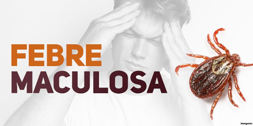 Tudo que você precisa saber sobre a FEBRE MACULOSA