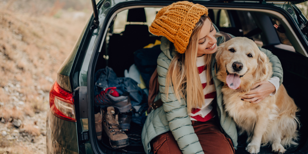 Viajar com pet: quais os principais cuidados