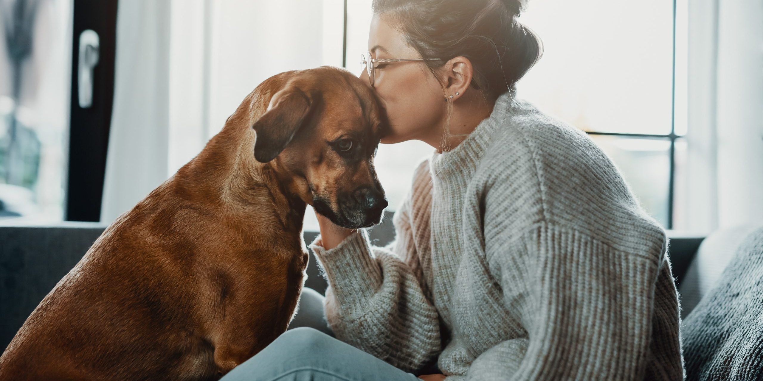 Socialização: Como Ajudar Pets Tímidos ou Agressivos a se Relacionarem Melhor